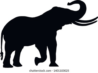 vector graphics of a big elephant