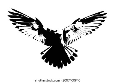 Vector graphics of a black eagle On a white background. Abstract silhouette of a flying eagle.