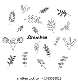Vector graphics. Branches of nature. Leaves and flowers.