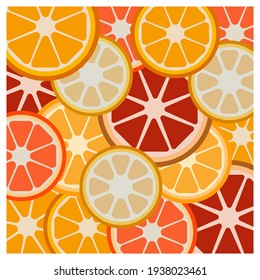 Vector graphics. Citrus slices. Orange, grapefruit, lemon. Juicy, sour fruits 
