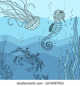  Gráficos vectoriales. Colores de páginas para niños y adultos. Mundo del agua, cangrejo, medusas, caballitos de mar, algas, corales, agua, océano.