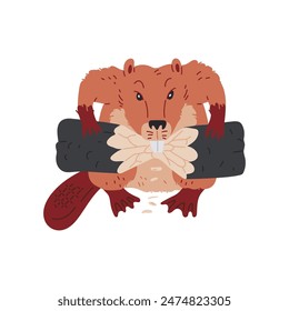 Vector graphics a cute beaver holds a log in its paws and nibbles it on a white background. An illustration of a nature carpenter in a cartoon flat style