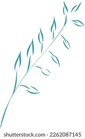 Vector graphics drawing leaves. Vector branch with leaves sketch. Contour tender branch. Leaves of flowers and trees. Sketch of plants and herbs. Ornament with leaves on a white background.