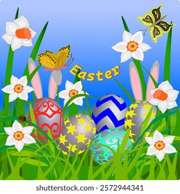 Vector graphics. Easter card. Rabbit ears stick out from behind the Easter eggs. The grass is green, daffodils are blooming, butterflies are flying.