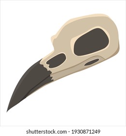Vector graphics in flat style isolated on white background. Illustration of a raven skull in cartoon style hand-drawn.