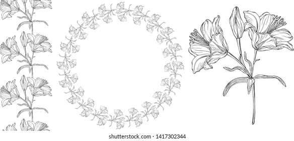 vector graphics of a floral composition with flowers lilies