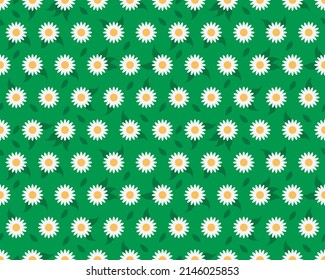 Gráficos vectoriales - fondo floral de verano brillante con margaritas blancas sobre hierba verde. Concepto: papel pintado, tela o papel