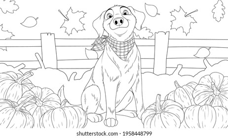Vector graphics, funny dog with a scarf around his neck guards a vegetable garden with pumpkins, coloring book