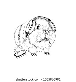 vector graphics funny guinea pig in headphones