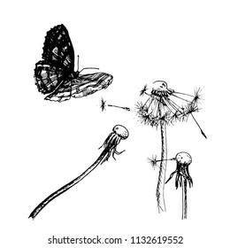 Vector graphics. Graphic drawing of a black pen. Butterfly and dandelions.