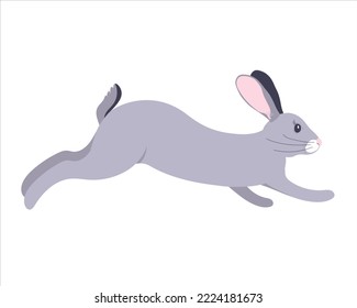 Vector graphics of a gray rabbit. The furry animal jumps, runs. Easter bunny on a white background.
