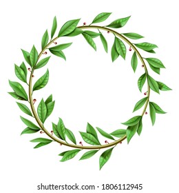 Gráficos vectoriales. Leyenda de laurel de época verde realista. Plantilla aislada