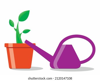 Vector graphics - a green fresh sprout with leaves in a flower pot and a watering can with water isolated close-up. Concept gardening and plant care