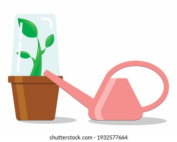 Vector graphics - a green sprout with three leaves on a stem in a brown container under a transparent greenhouse cap and pink watering can close-up. Concept-growing and caring for seedlings in spring