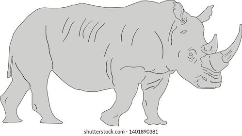 vector graphics are a huge Rhino