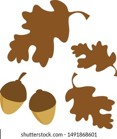 vector graphics, illustration collection of drawn acorn