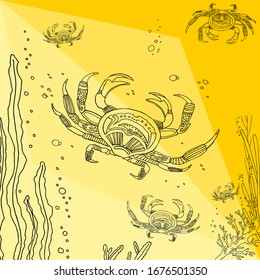 Gráficos vectoriales, ilustración. Para colorear libros, estudiar, relajarse. Fondo marino con cangrejos, algas, burbujas, arena. En un fondo amarillo, patrón