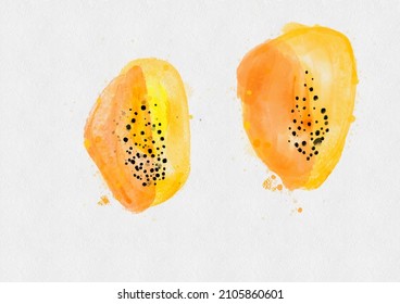 Vector graphics. imitation of watercolor. papaya
