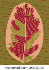 Vector graphics - a large textured ficus leaf with abstract close-up spots on an olive background. Concept botany and contemporary art