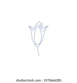 Vector graphics, line bluebell flower logo