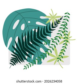 Vector graphics of modern design icons on the theme of tropical plants, forest, landscaping. Bright vector illustration featuring monstera and fern leaves. Postcard in forest style.