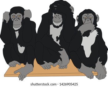 vector graphics of a monkey, the ears, mouth, eyes.