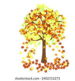 Vector graphics. On a white background, maple with bright autumn leaves.