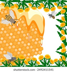Vector graphics. On a white background, a frame of blooming dandelions, a bee and a honeycomb with honey.