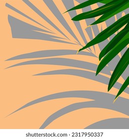 vector graphics. palma green leaves with it's shadow on the background. summer calm colors