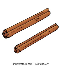 Vector graphics in realistic style of cinnamon sticks isolated on white background. Color illustration of cinnamon dried fragrant spice and seasoning hand drawn.