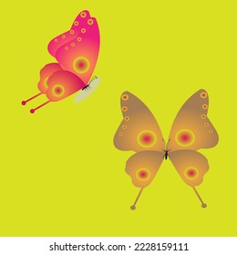 Vector graphics of red and brown butterfly illustration