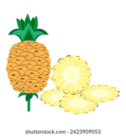 Vector graphics. Ripe pineapple and sliced pieces on a white background.