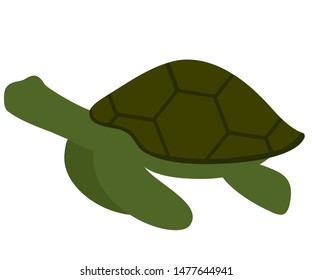 vector graphics with sea turtle green color