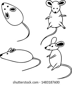 vector graphics set collection of hand drawn mouse silhouettes different poses elements black lines on a white background style. mouse symbol of 2020 new year on the Chinese calendar.