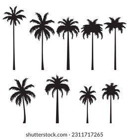 Vector graphics set of different silhouette palm trees black