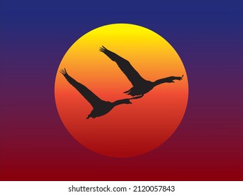 Vector graphics showing the silhouettes of two swans flying against the setting sun.