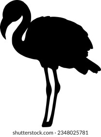 Vector graphics. silhouette on isolated white background. flamingo silhouette.