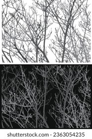 Vector graphics. Silhouette of tree branches. Can be used as a background
