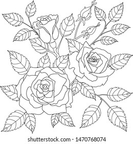 Vector graphics, sketch, coloring of roses, outline of roses, foliage