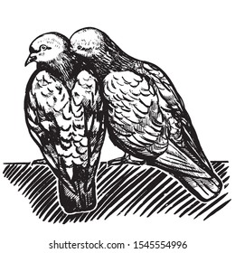 Vector graphics. Sketch. Cute Love birds. Pigeon couple. Romantic illustration. St. Valentine's Day. Black-white drawing isolated on white. Design for print, postcards, posters, banners and more.