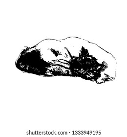 Vector graphics - sleeping cat, curled up, black contour on a white background.