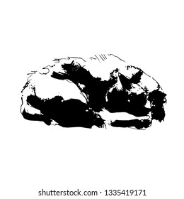 Vector graphics - sleeping cat, curled up, black contour on a white background.