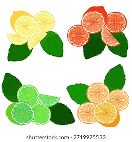 Vector graphics. Sliced ​​citrus fruits of various colors on a white background.