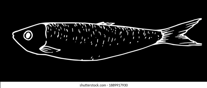 vector graphics of stylized fish with dots texture on the back, element for your design. drawing of a small sprat drawn in the style of linear Doodle art. The seafood menu includes sardines and sprats