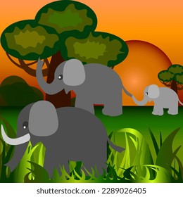 Vector graphics. Sunset, green grass, baobabs grow. In the foreground is a large elephant with tusks. Nearby are an elephant with a baby elephant.