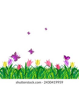 Vector graphics. Tulips bloom in the grass on a white background. Butterflies are circling above them.