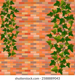 Vector graphics. Two hanging ivy bushes on a brick wall.