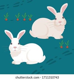 Vector graphics of two rabbits on a carrot bed. Illustration of white and grey rabbits on an ocean color background.