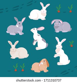 Vector graphics of various rabbits on a teal color background. A set of bunnies sitting in a meadow.