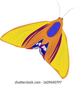 Vector graphics, yellow butterfly  on a white background